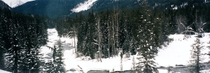 Winter Stream in Rockies