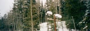 Canadian Rockies Snowy telephone poles