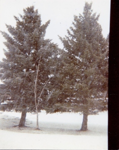 Winter 1986_during snowstorm