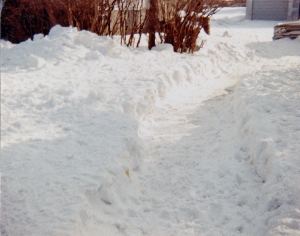 Winter 1987 the shoveled path from the house