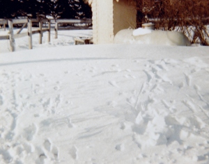 Winter of 1986