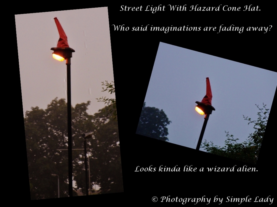 Streetlight attire...hazard cones?