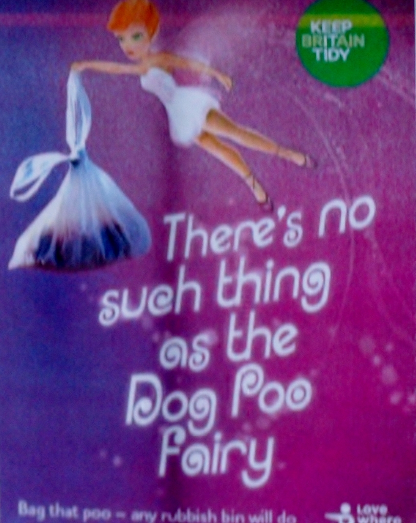 Dog Poo Fairy