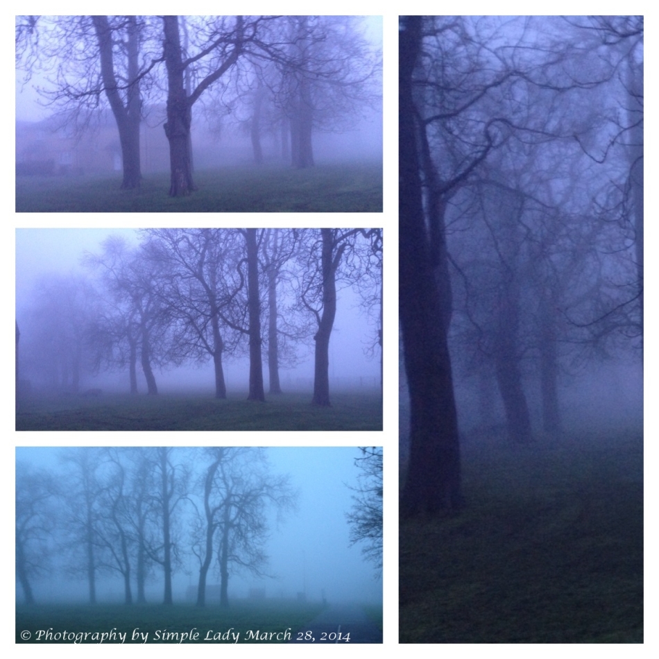 Fog this morning 1
